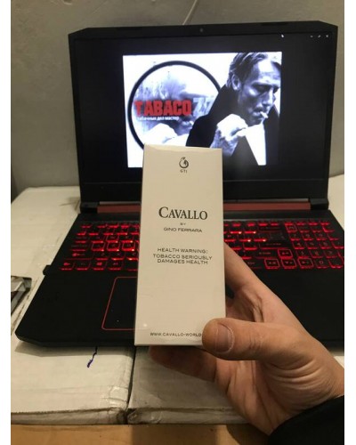 Cavallo Gino Ferarra (Nano)